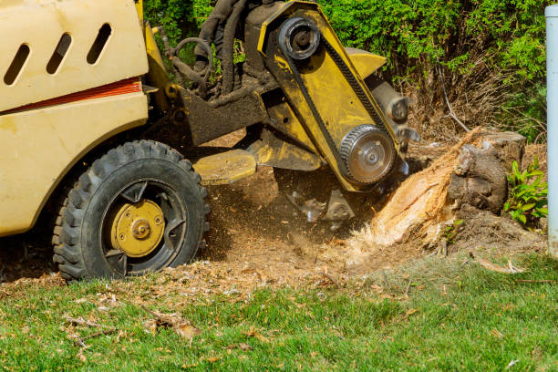 Best Lawn Drainage Solutions  in Cornwall, PA