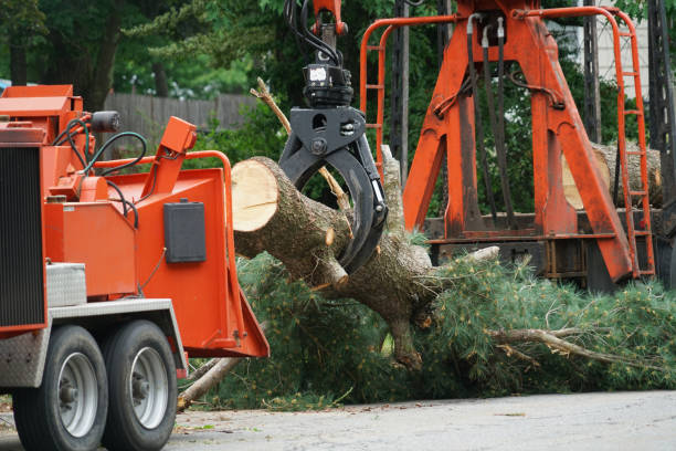 Best Tree Mulching  in Cornwall, PA